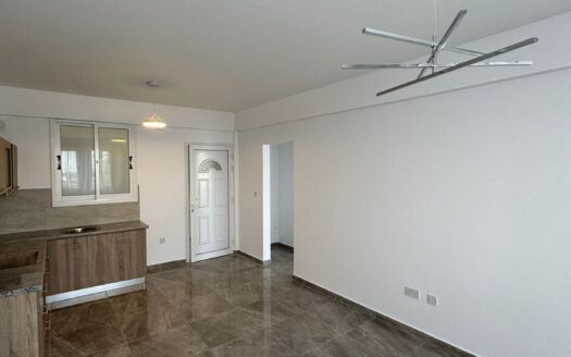 Fully Renovated 1-Bed Apartment For Sale - Kitchen Area